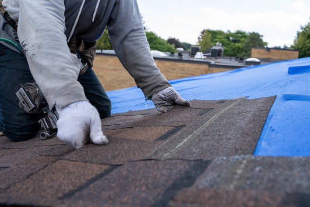 Best Storm Damage Roof Repair  in Center Line, MI