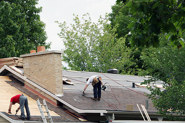 Best Metal Roofing Contractor  in Center Line, MI